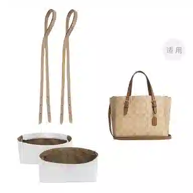 COACH Mollie 25 Totediy