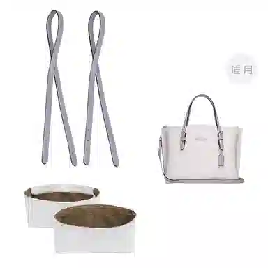 COACH Mollie 25 Totediy