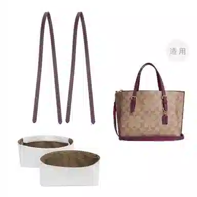 COACH Mollie 25 Totediy