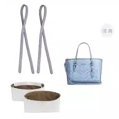 COACH Mollie 25 Totediy