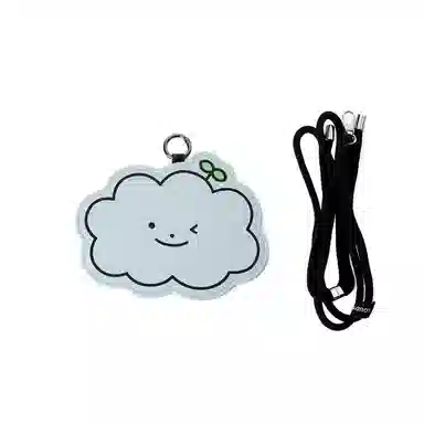 LINE FRIENDS ROY6 IP