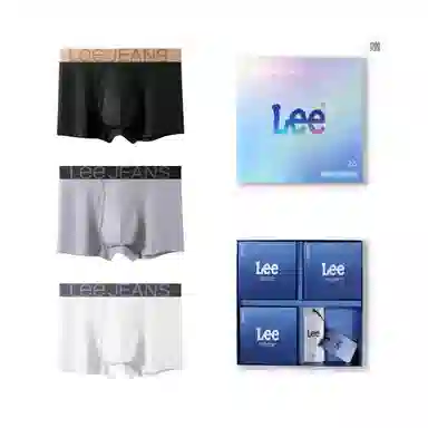 Lee 3