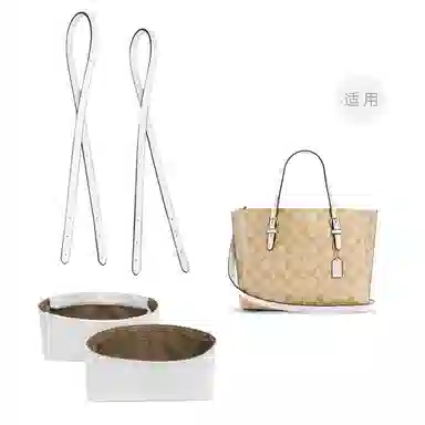 COACH Mollie 25 Totediy