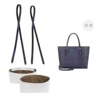 COACH Mollie 25 Totediy