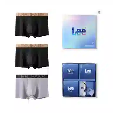Lee 3
