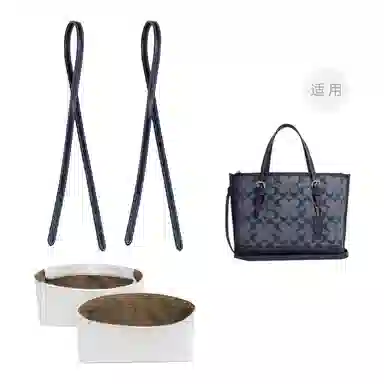 COACH Mollie 25 Totediy