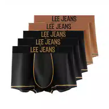 Lee 4.0 5