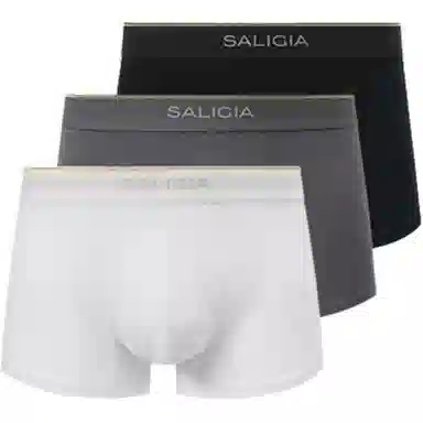 SALIGIA 3