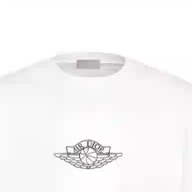 DIOR x jordan T