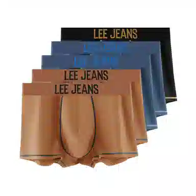 Lee 4.0 5
