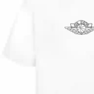DIOR x jordan T
