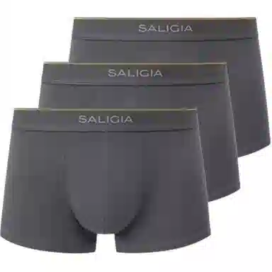 SALIGIA 3