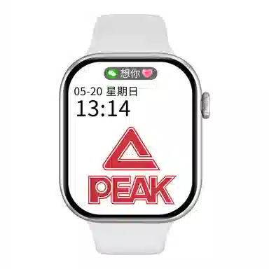 PEAKNFCGT45S9