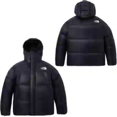 THE NORTH FACE FW23 Eco BARUNTSE DOWN Logo