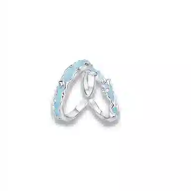 大唐国鼎 星汉灿烂小众时尚简约设计潮酷个性小众高级感森系高级感本命年财运 好运 合金 戒指 男女同款情侣款