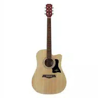 Guitarist G10-TH 4041