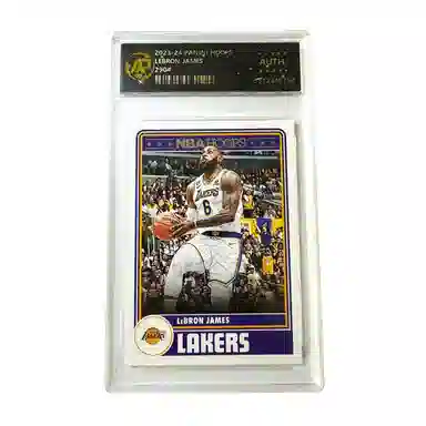 PANINI panini hoops