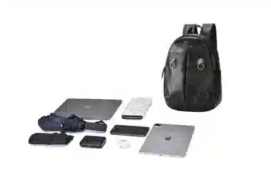 Chusan Black Lion Backpack