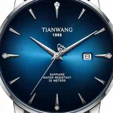 TIANWANG LOGO 31162