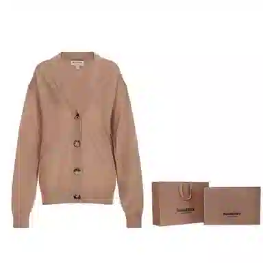 Burberry FW23 V