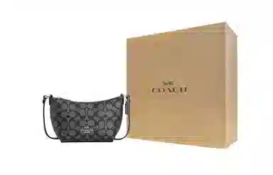 COACH Mini Crossbody Bronze
