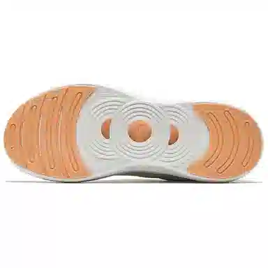 Anta Pro
