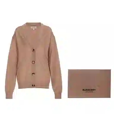 Burberry FW23 V