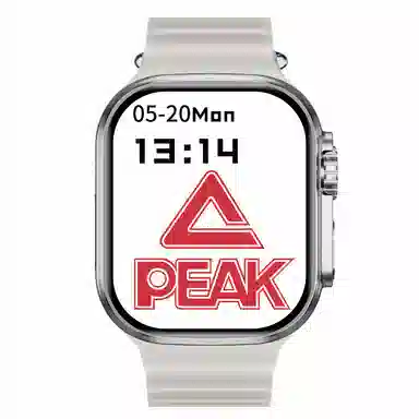 PEAKNFCGT45S9