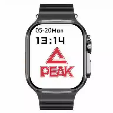 PEAKNFCGT45S9