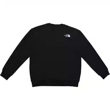 THE NORTH FACE SDSLogo