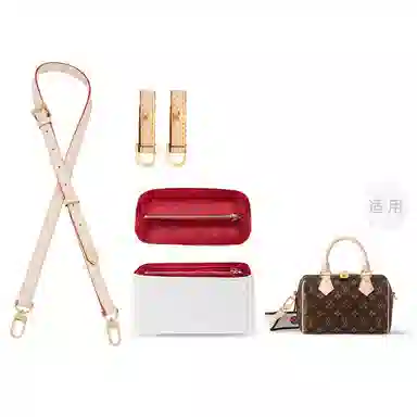 Louis Vuitton Speedy 20