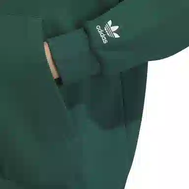 adidas originals GRAPHIC HOODIE