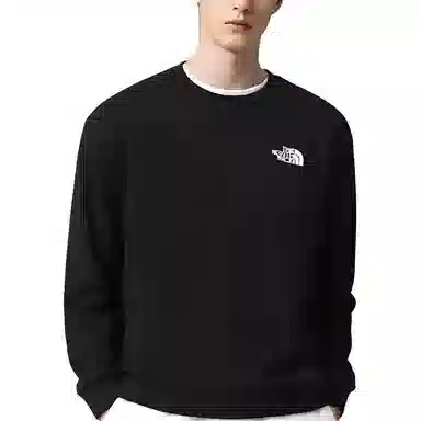 THE NORTH FACE SDSLogo