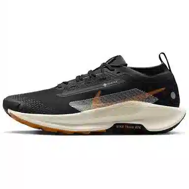 Nike Pegasus Trail 5 GORE-TEX