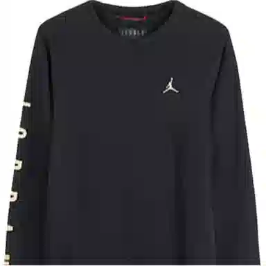 Air Jordan Logo
