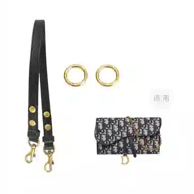 DIOR Saddle Oblique diy