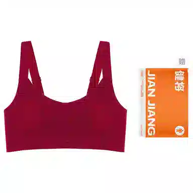 健将 无痕聚拢大胸显小防下垂无钢圈文胸 女款 礼盒装