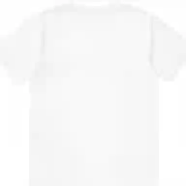 Champion T