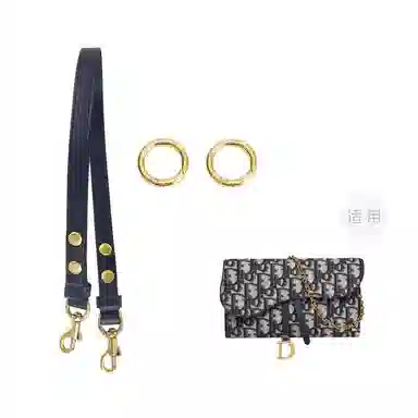 DIOR Saddle Oblique diy