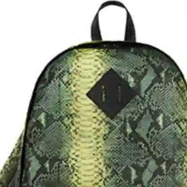 Supreme x The North Face SS18 Backpack Green