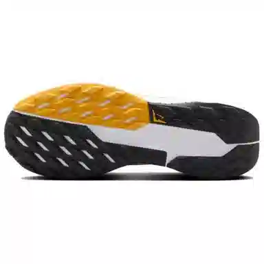 Nike Pegasus Trail 5 GORE-GTX