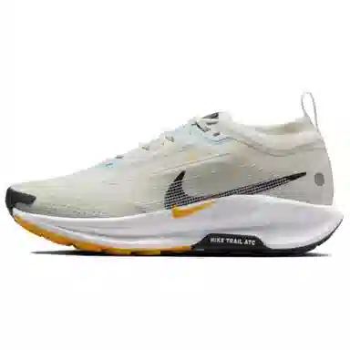 Nike Pegasus Trail 5 GORE-GTX