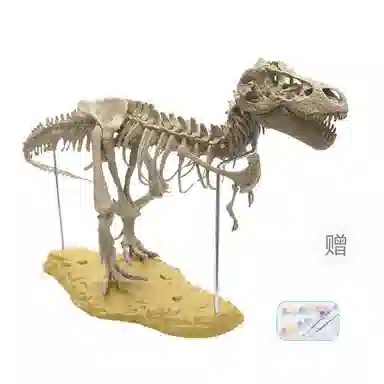 一点潮玩 霸王龙骨架化石 创意仿真 拼装模型