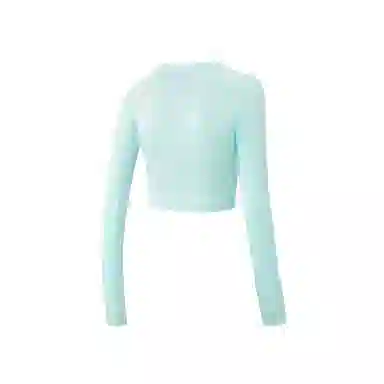 HEAD T