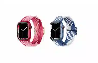 IOTS AppleWatch8