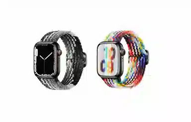 IOTS AppleWatch8