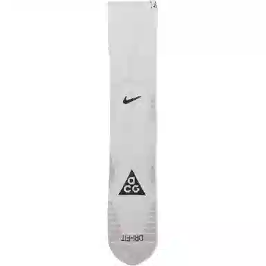 Nike ACG 1