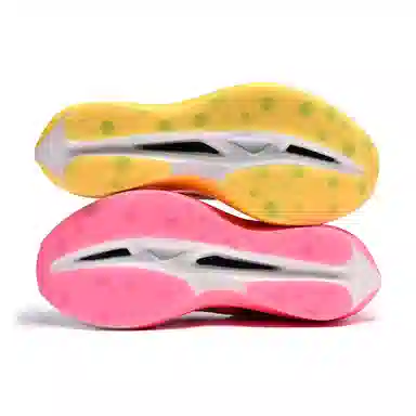 CLERSES