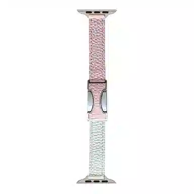 C AppleWatchSeries9S8S6S5WatchUltraSE2