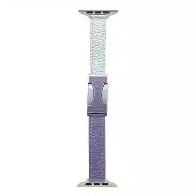 C AppleWatchSeries9S8S6S5WatchUltraSE2